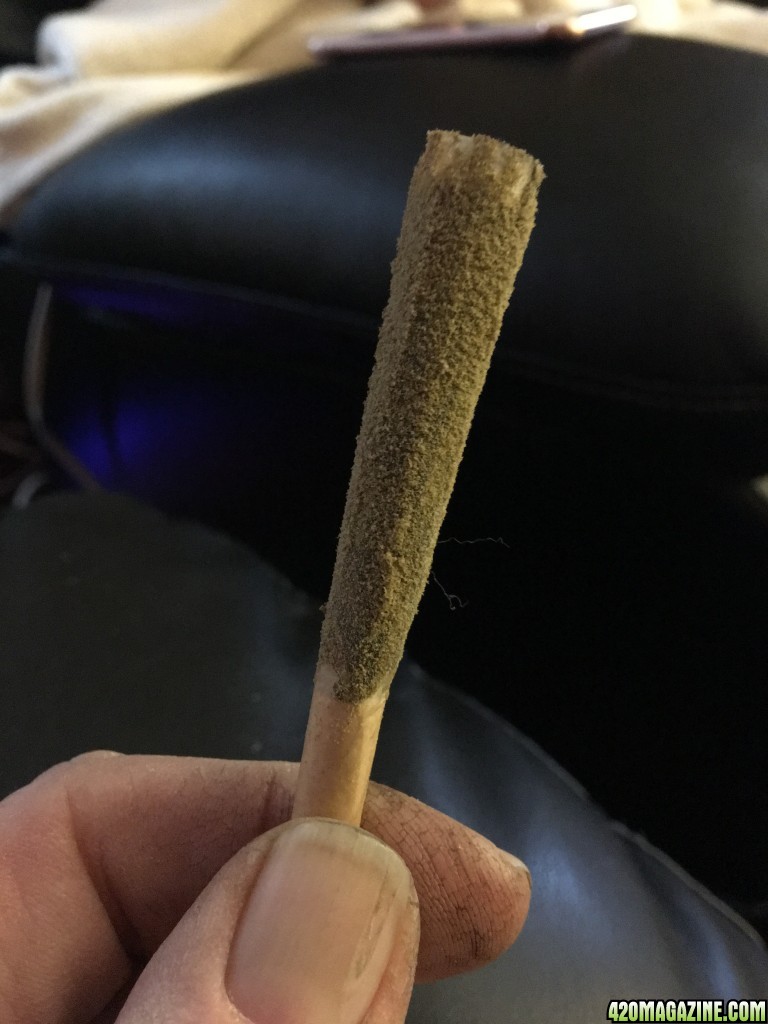 Handrolled Cone/GG#4, painted with wax, rolled in Keif.