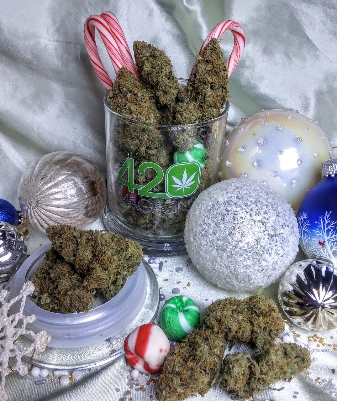 Happy Holidays Growmies!!!!