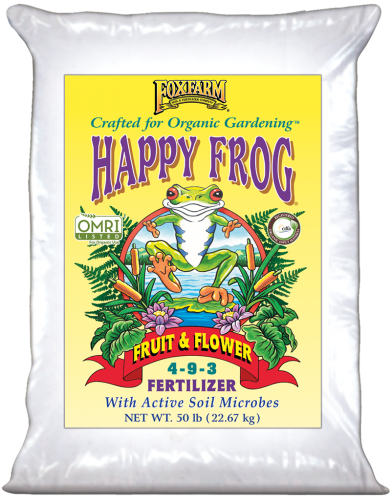 happyfrogfruitflower-50lb2019-391x500.png