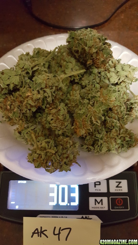 Harvest Dry Weight