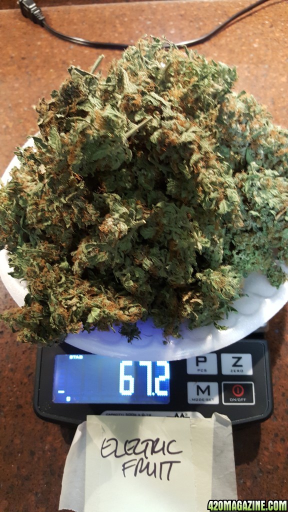 Harvest Dry Weight