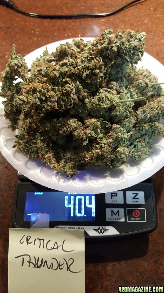 Harvest Dry Weight