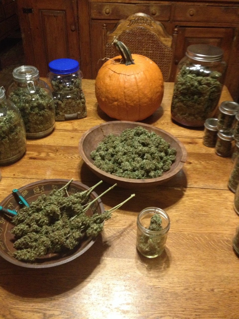 harvest