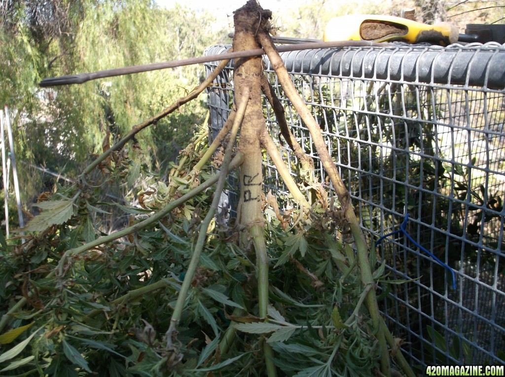 Harvesting