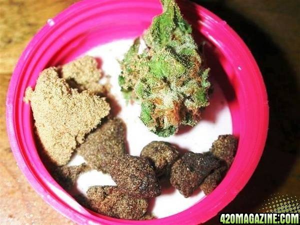 hash-n-bud