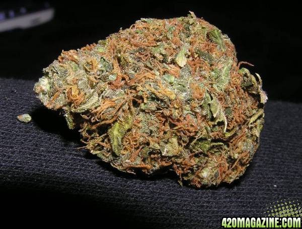 Hashberry Bud