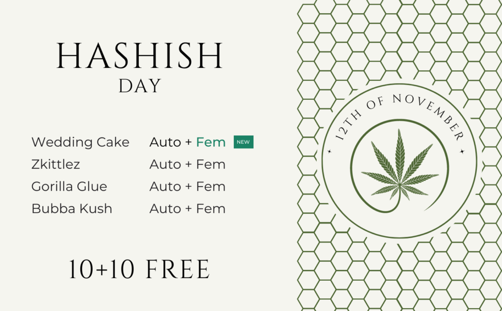 Hashish-Day-en-1024x636.png
