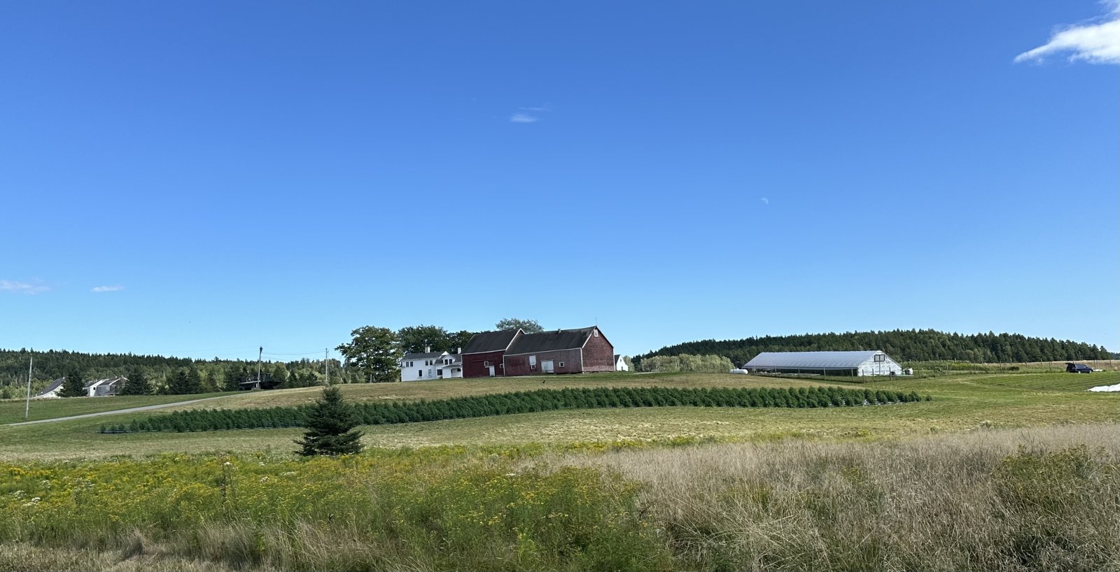 Hemp Farm