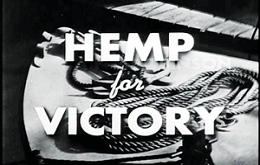 hemp for hp