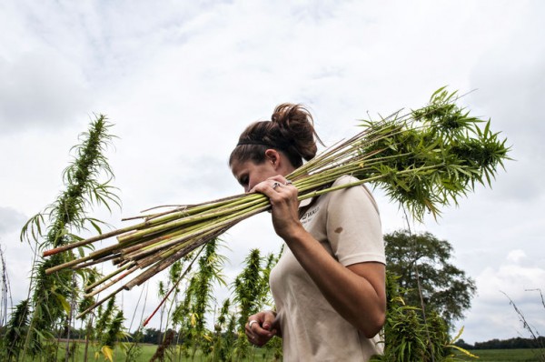 Hemp Girl