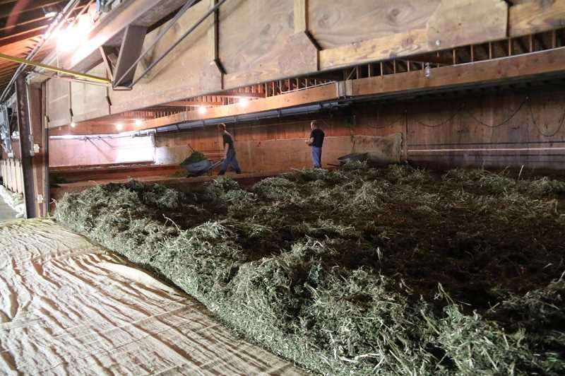 Hemp Harvest - IVERSON FAMILY FARMS