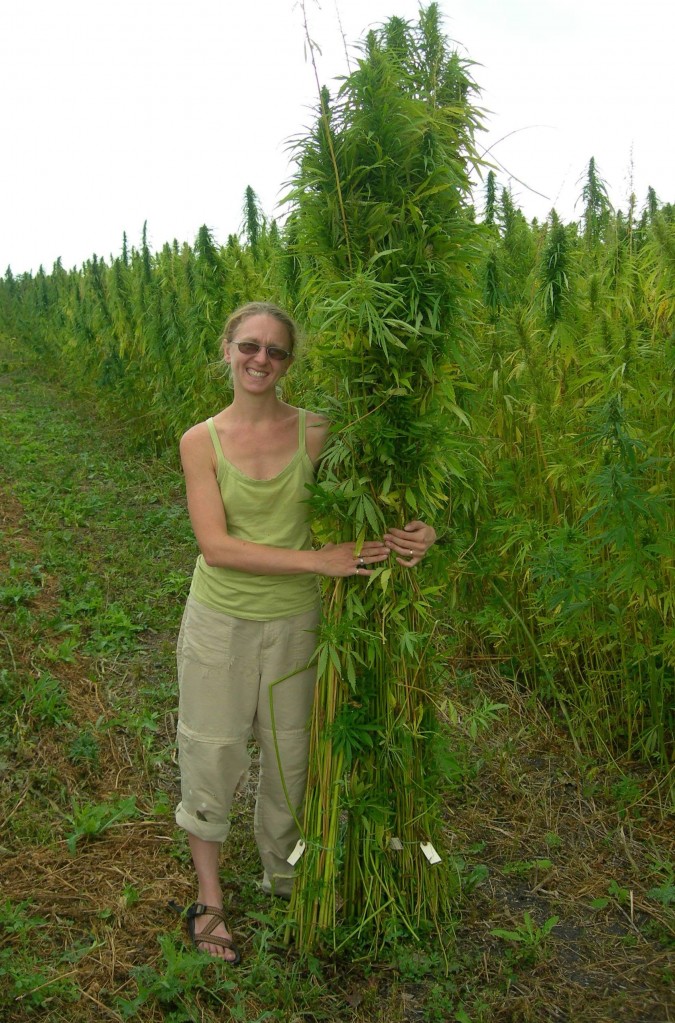 Hemp Harvest