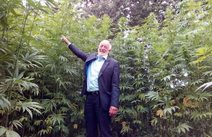 Hemp in Jersey - JerseyEveningPost