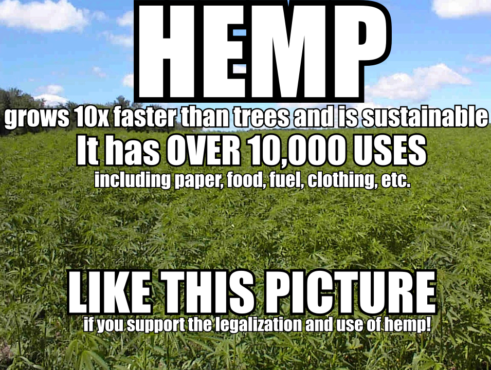 Hemp Like This Picture