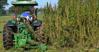 hemp-production-kentucky-800x480_420Magazine