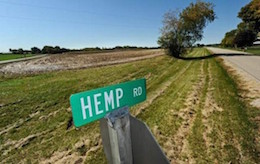 Hemp Road 260x165