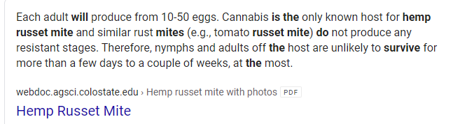 Hemp russet mites.PNG