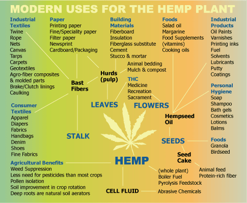 hemp_uses