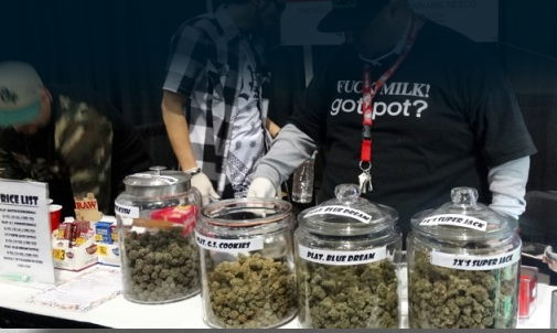 Hempcon 2014 2