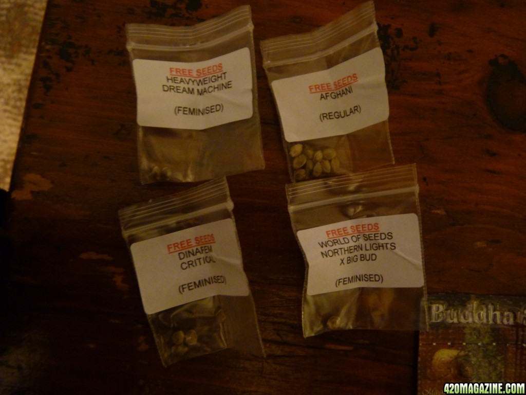 Herbies Seed order