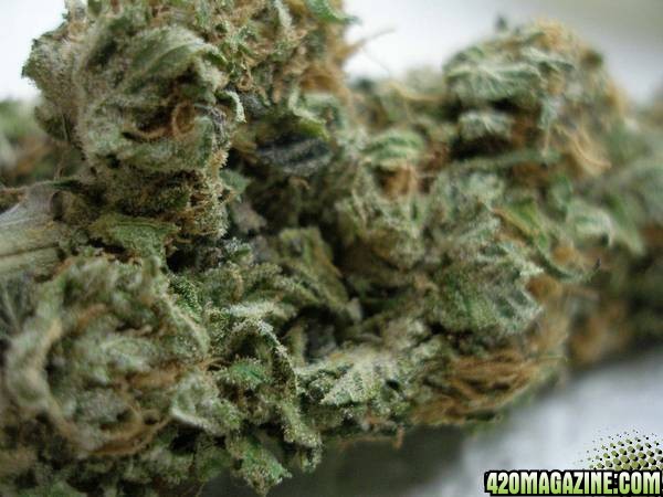 Heres another from AJ White Rhino CU