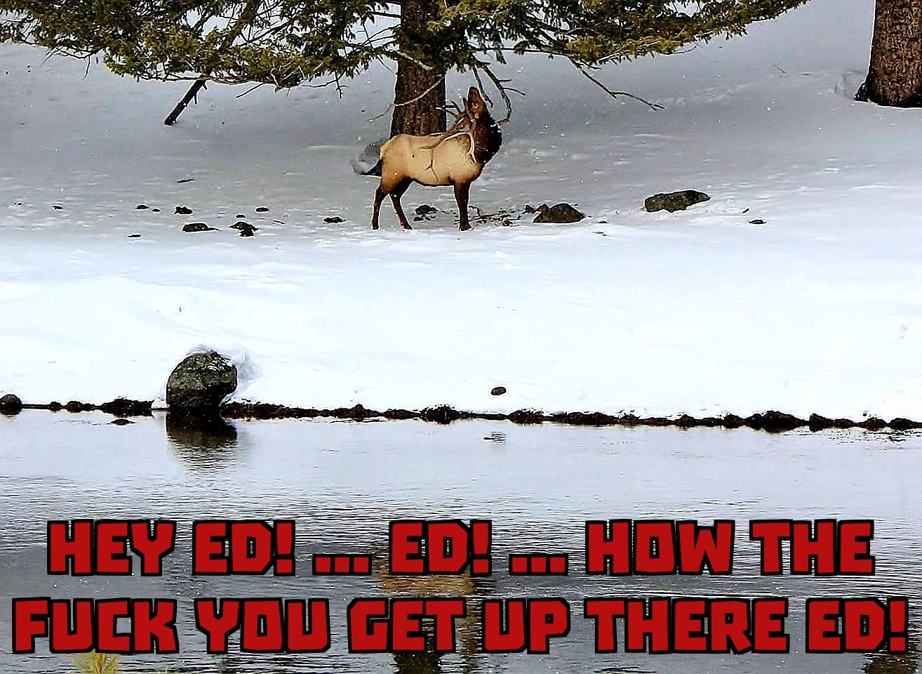 Hey Ed.jpg