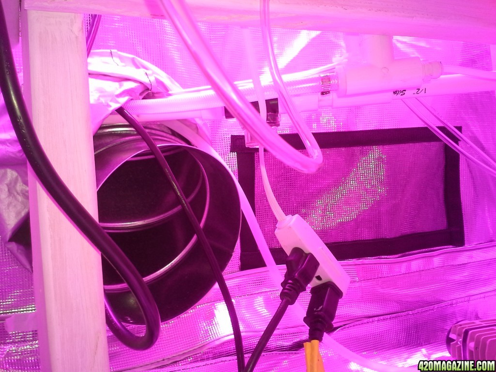 High Pressure Aeroponic DIY System - Trail Run