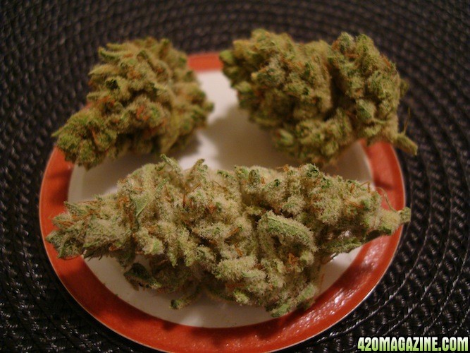 High Quality Medical Marijuana available for cheaper prices