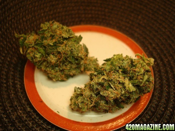 High Quality Medical Marijuana,OIL &amp; SEEDS Available 4 Cheap