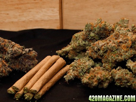 high quality medicinal marijuana and other best strains of kush for sale at