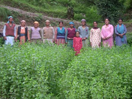 Himachal Women Farmers