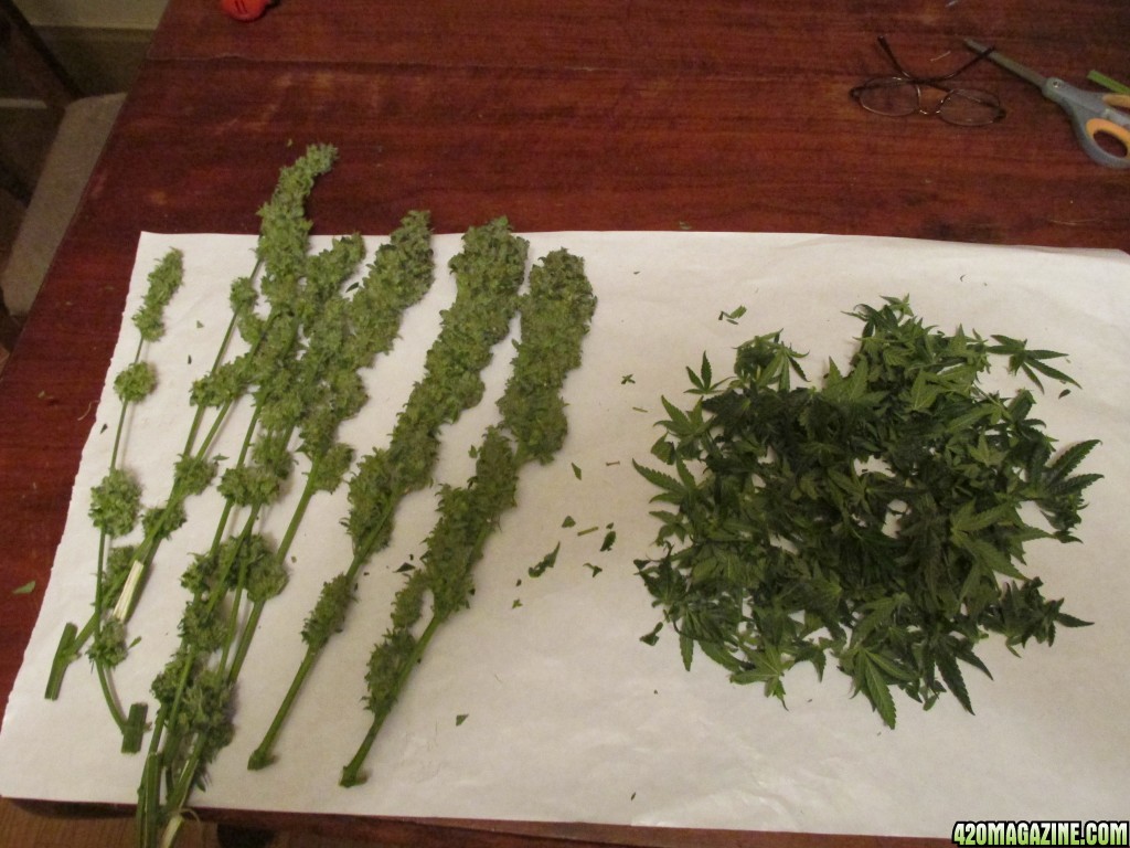 hindu harvest