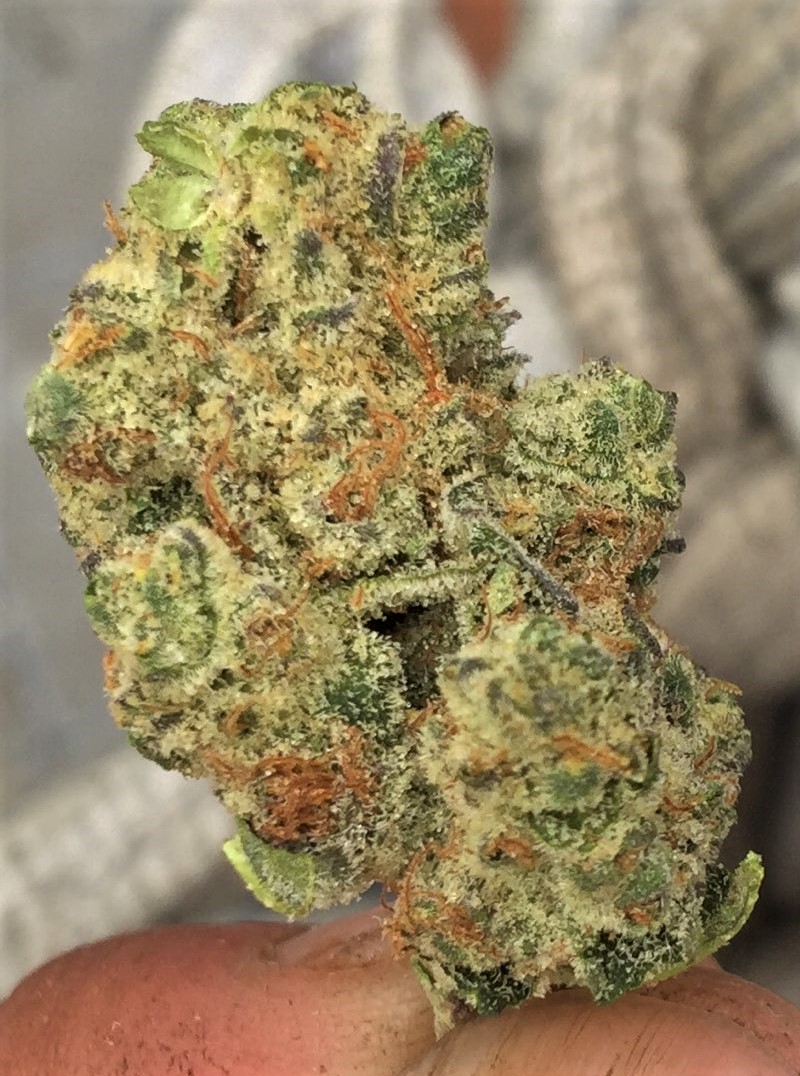 Hippie Crasher from dispensary at 32.4%.jpg