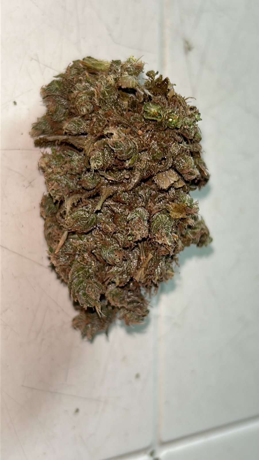 HL 6--28-24 dry nug.JPG