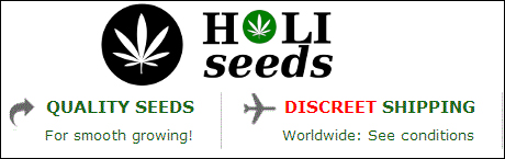 Holi Seeds