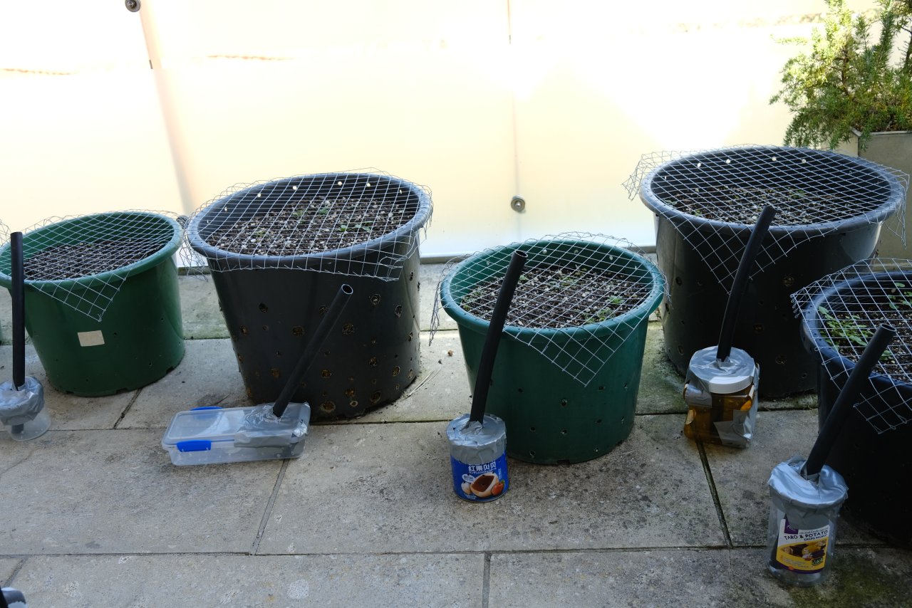 Home made 'root aeration chambers' next to their allotted pots