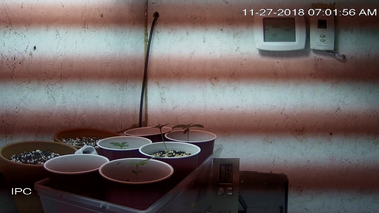 home_CAM 1_main_20181127070156.jpg