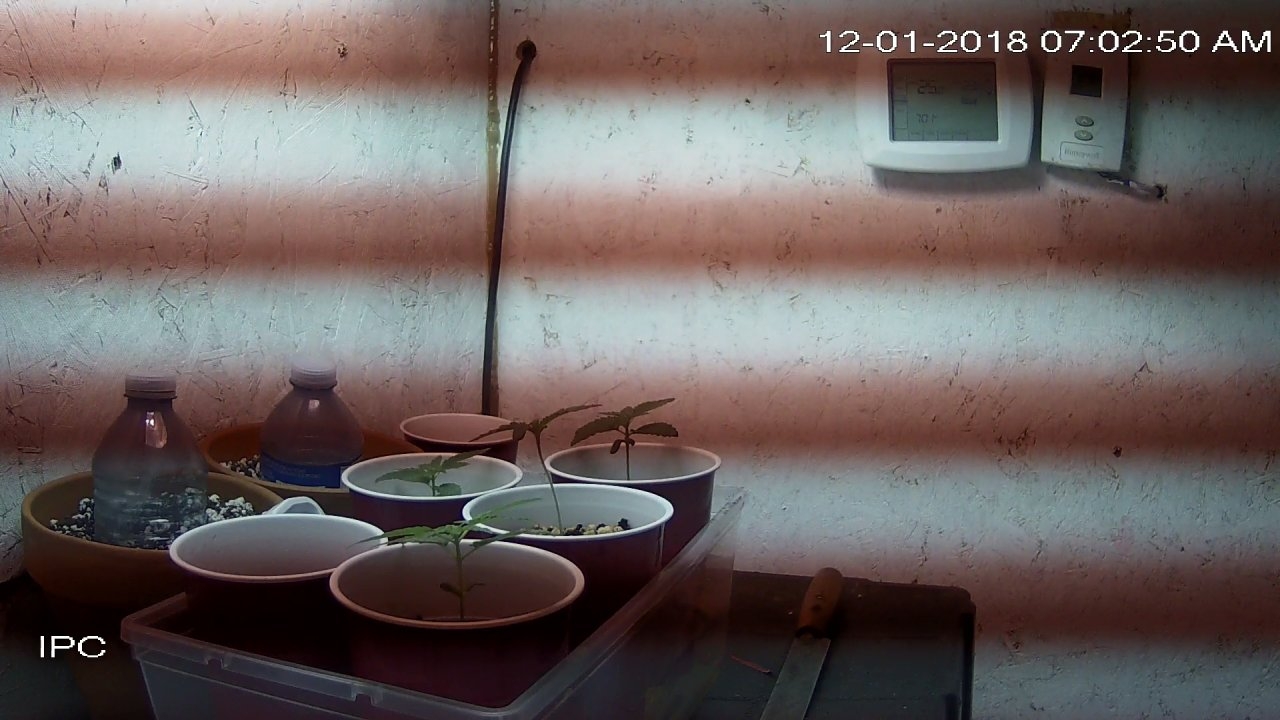 home_CAM 1_main_20181201070250.jpg