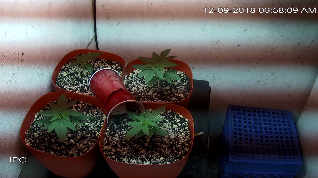 home_CAM 1_main_20181209065809.jpg