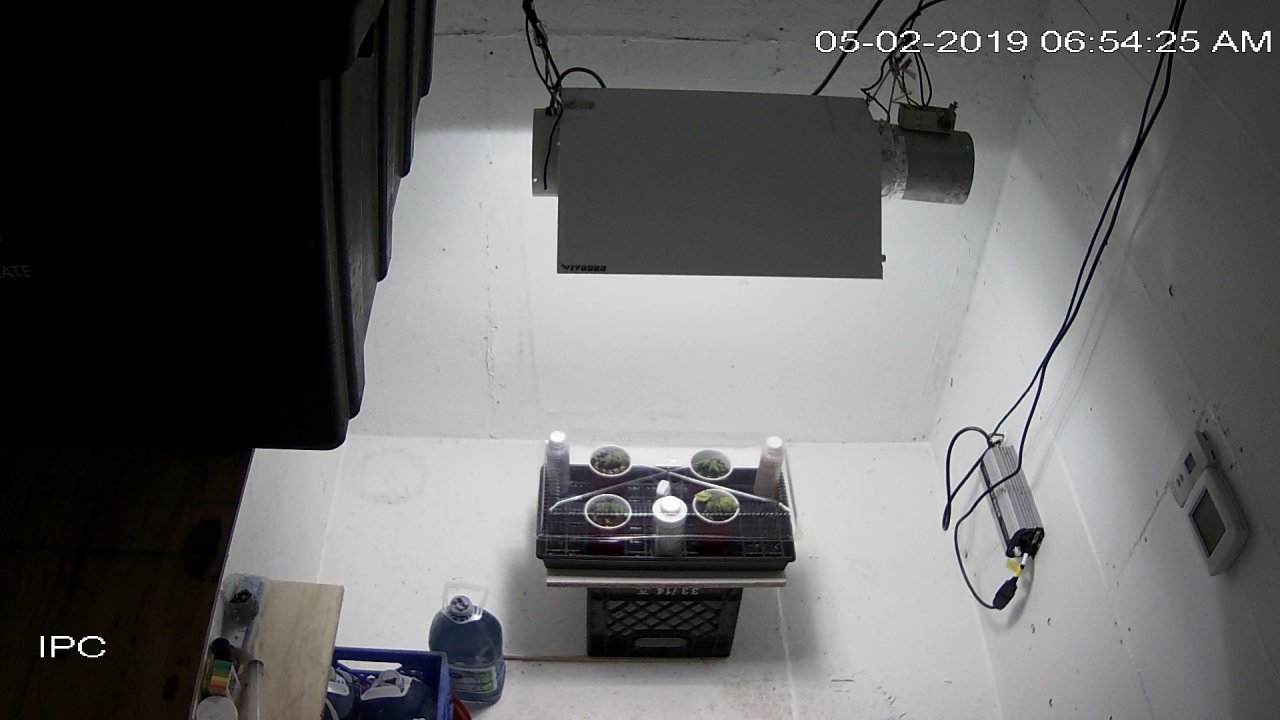 home_CAM 1_main_20190502065425.jpg