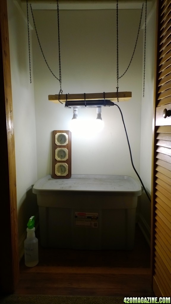 Homemade CFL Lighting