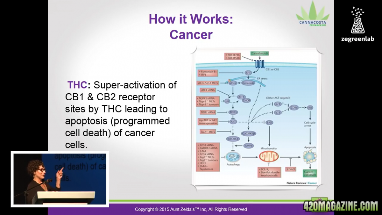 How It works: Cancer