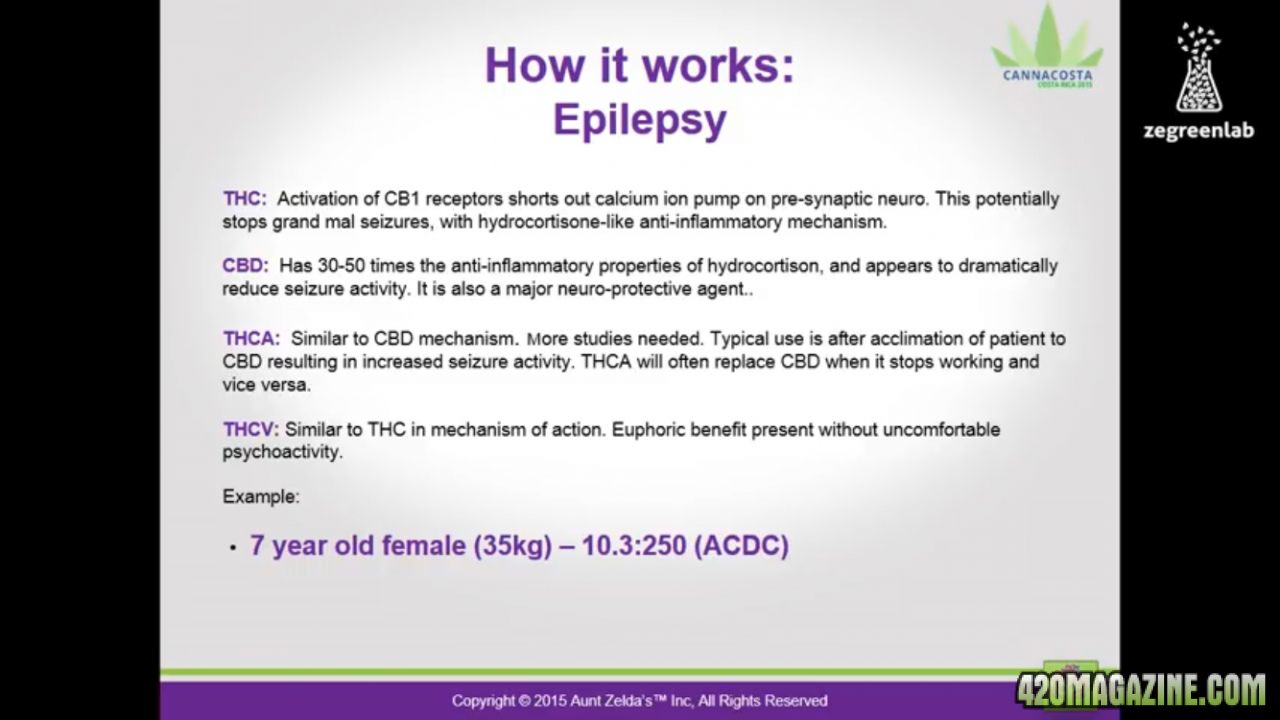 How it works: Epilepsy