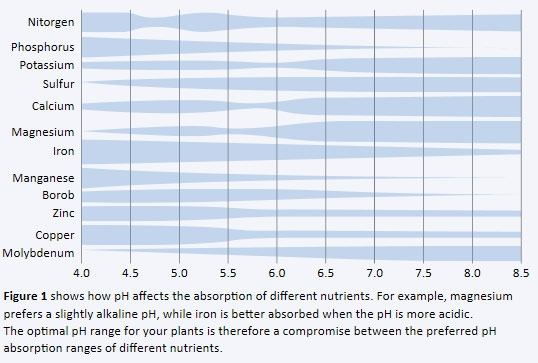 How-pH-Levels-affect-the-absorption-of-different-nutrients.jpg