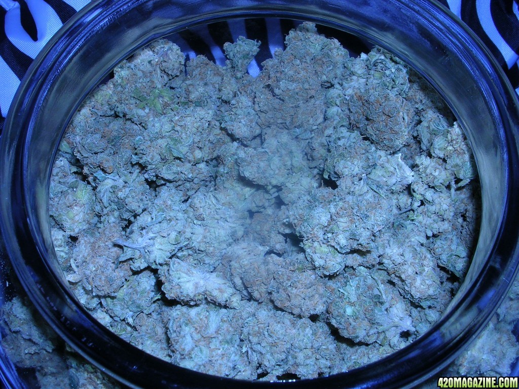 HPS NUGS (1K)