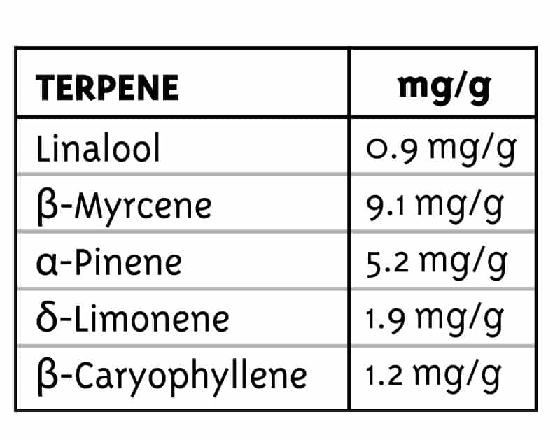 HUM-DREAM-TERPENES.jpg