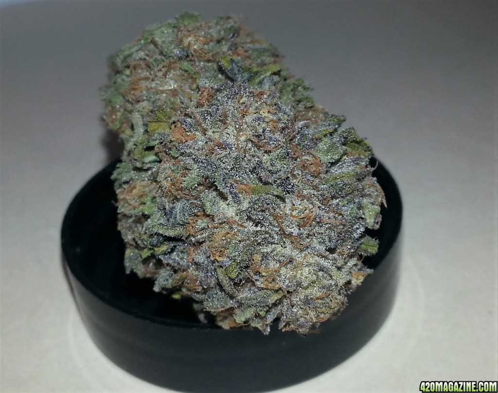 Humboldt Seeds - Bubba's Gift