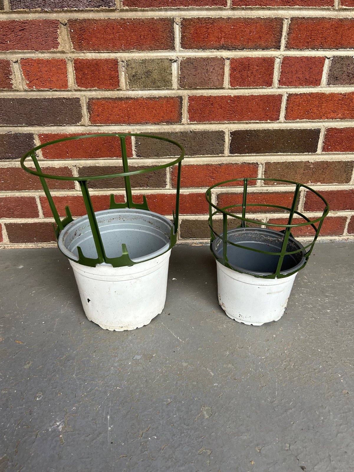 Hydrangea pots.jpg