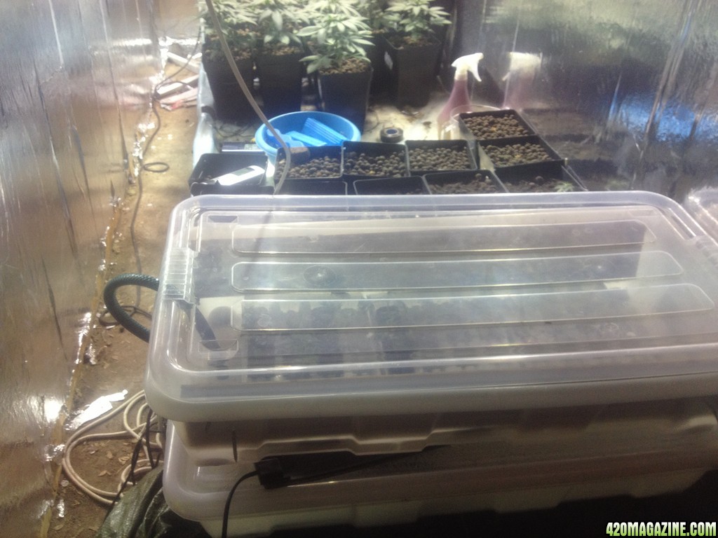 Hydro system for clones