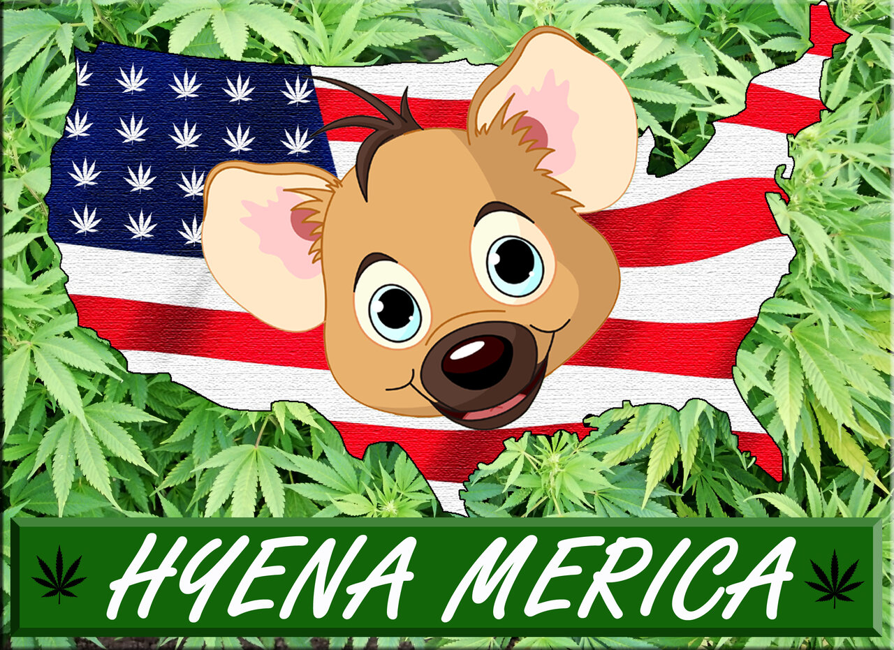 Hyena Merica logo 01 copy.jpg